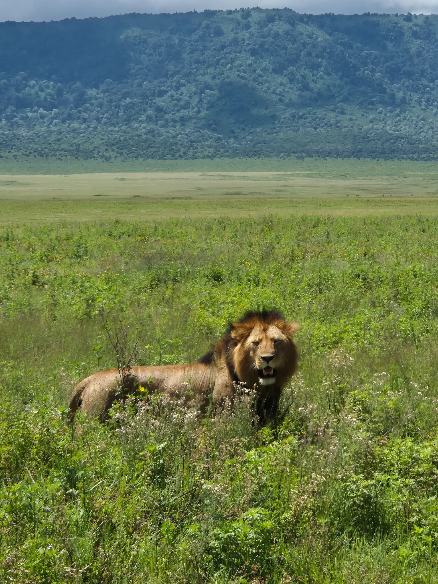 Nairobi National Park
