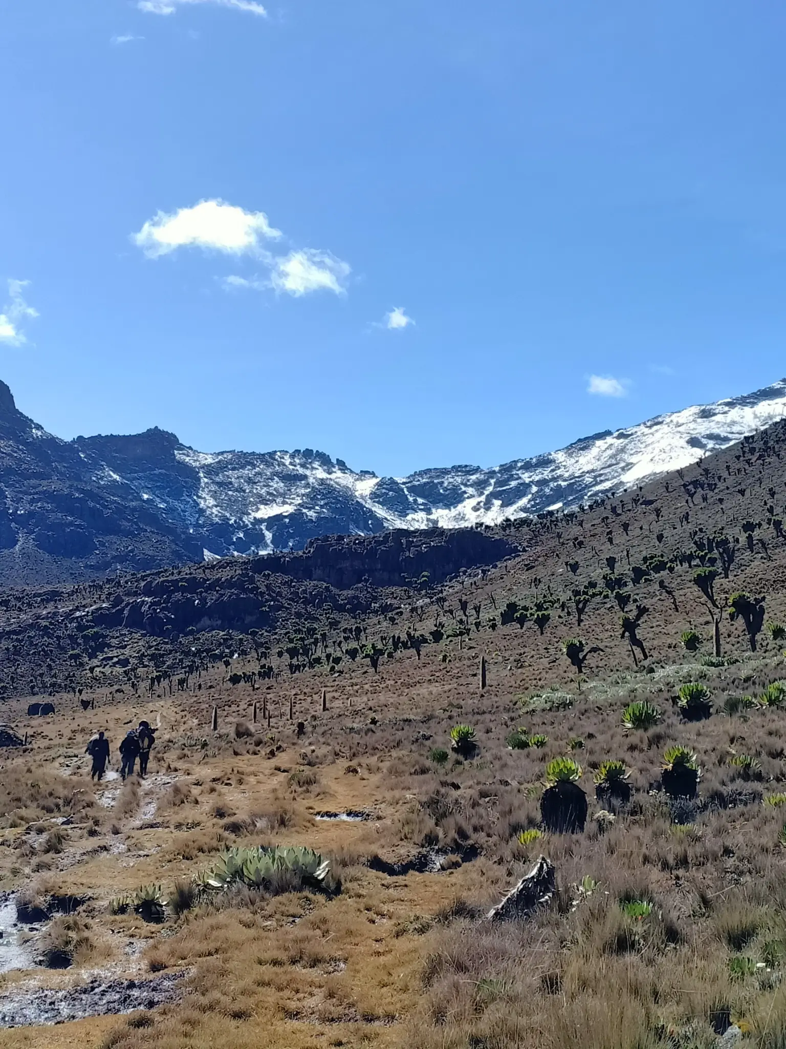 On Trail Mt. Kenya